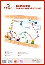 Poster Thrombin und Endotheliale Hämostase